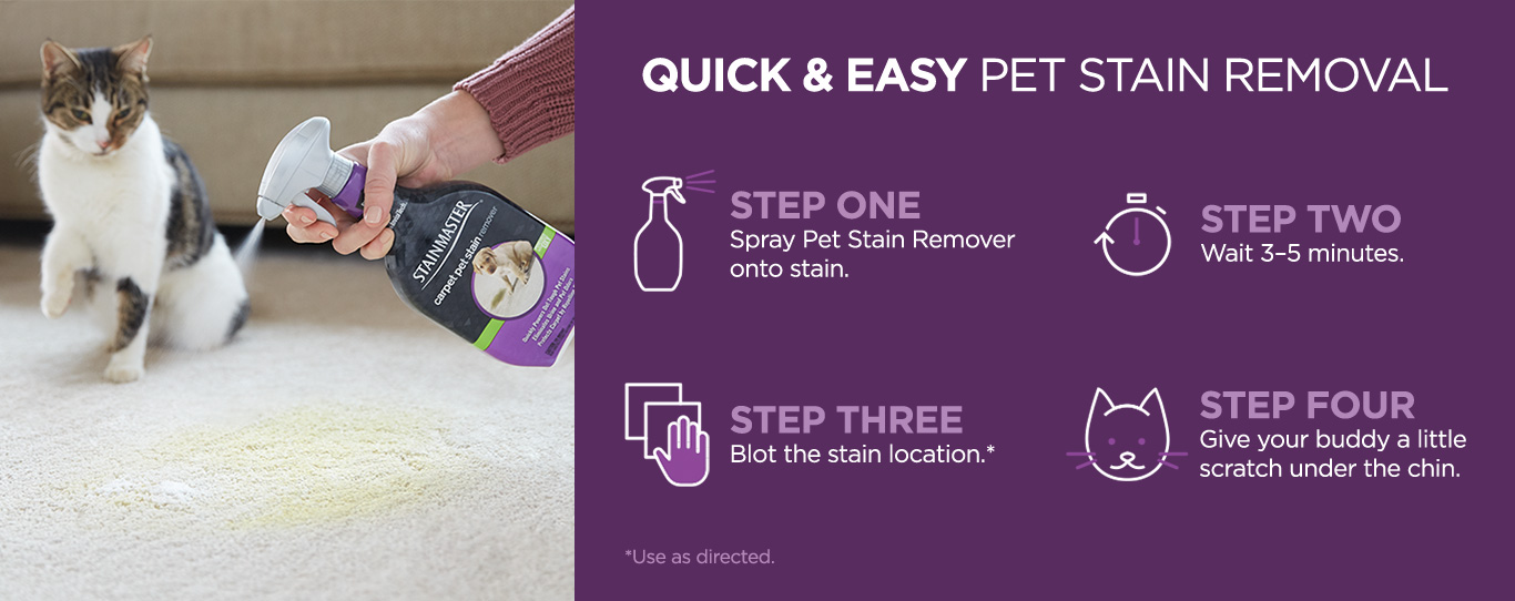 Quick & Easy Pet Stain Removal
