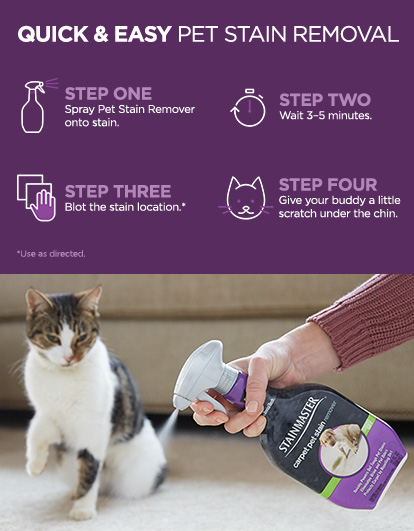 Quick & Easy Pet Stain Removal