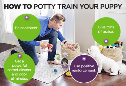 How To Potty Train your puppy