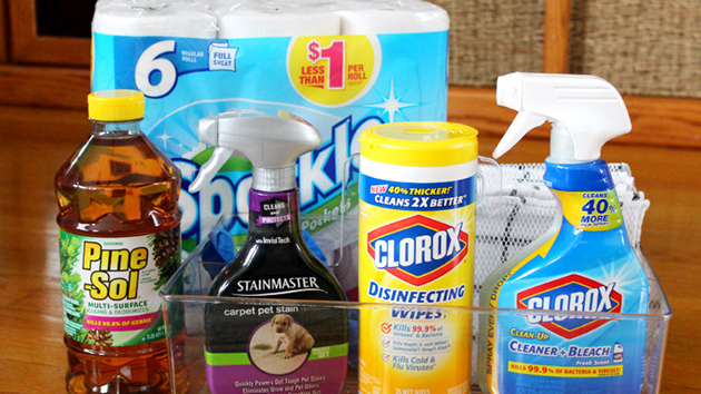 How To Get Your Spring Cleaning Done On A Budget Dg For The Home